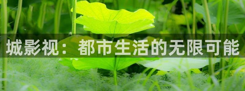 麥田影視影樓