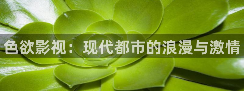 麥田影院免費(fèi)下載